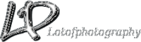 Lotofphotography